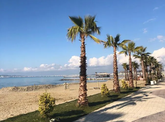 Gazi's For Rent גולם